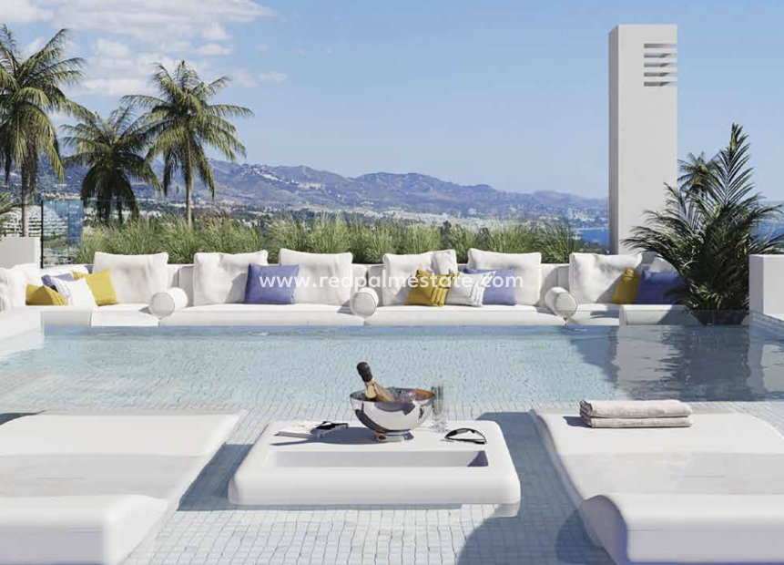 Obra nueva - Apartamento -
Torrevieja