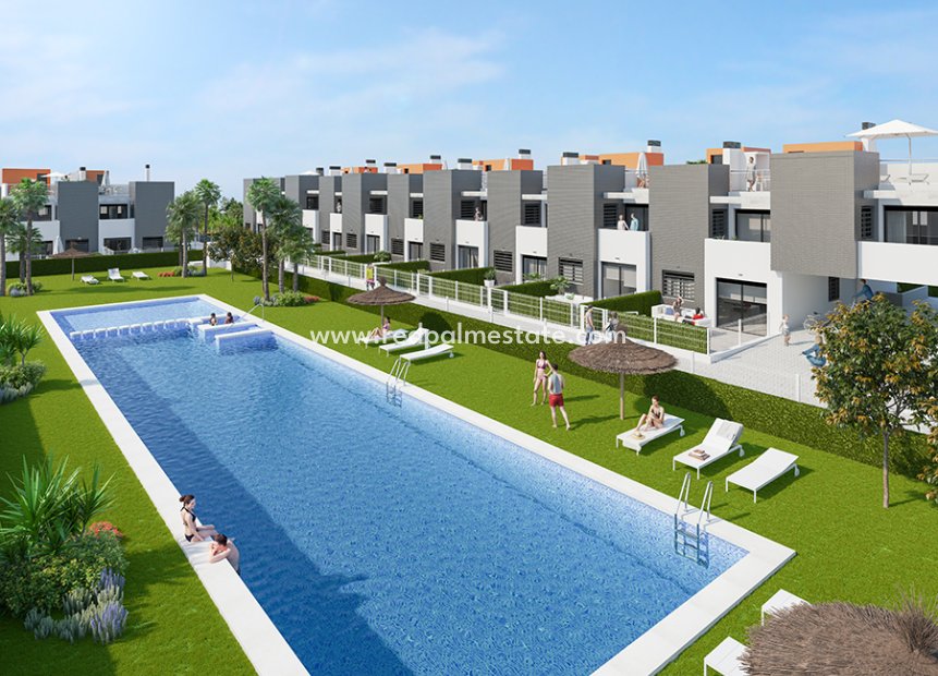 Obra nueva - Apartamento -
Torrevieja