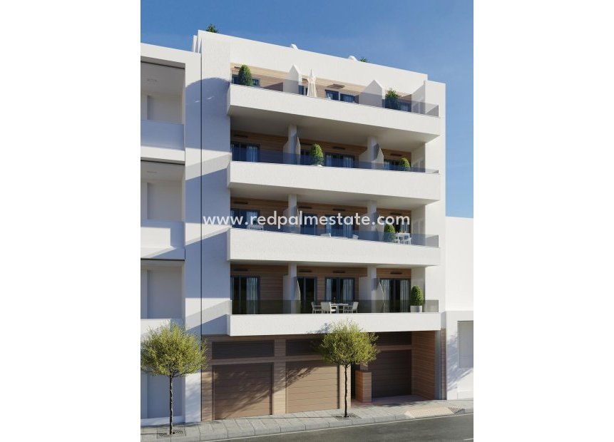 Obra nueva - Apartamento -
Torrevieja