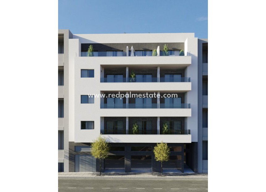 Obra nueva - Apartamento -
Torrevieja
