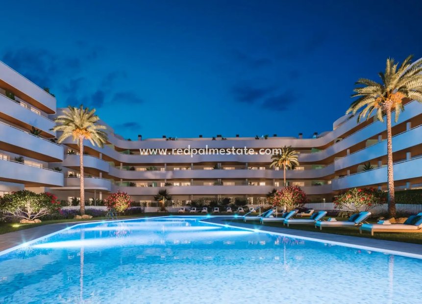 Obra nueva - Apartamento -
Torrox