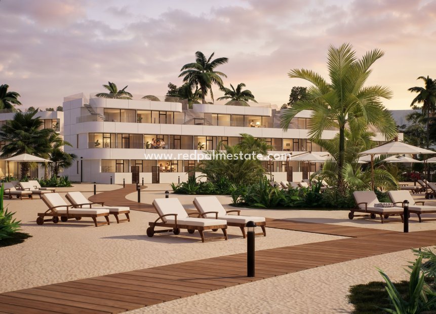 Obra nueva - Apartamento -
Vera Playa - Vera