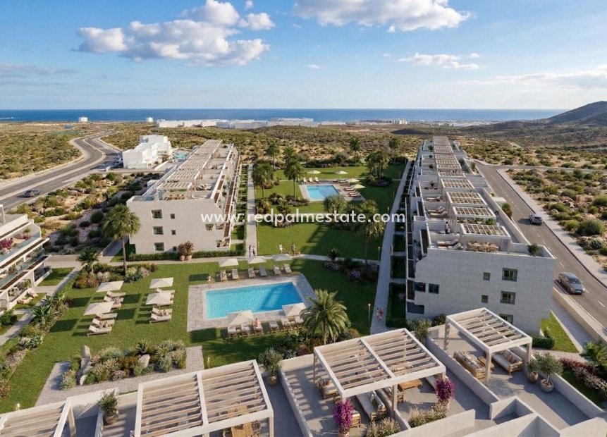 Obra nueva - Apartamento -
Vera Playa