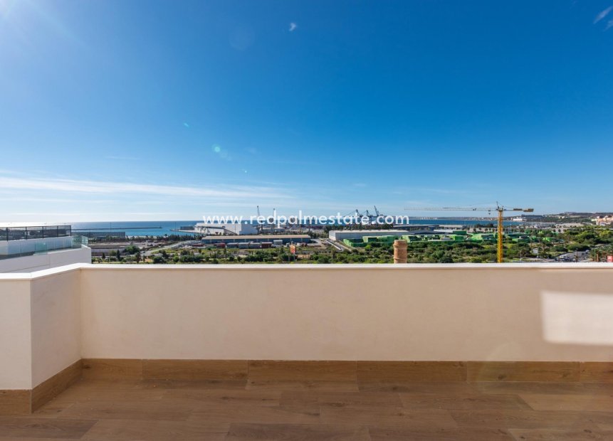 Obra nueva - Apartmentos -
Alicante - Benalua