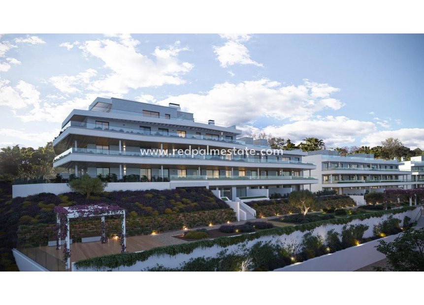 Obra nueva - Apartmentos -
Estepona - Parque Selwo