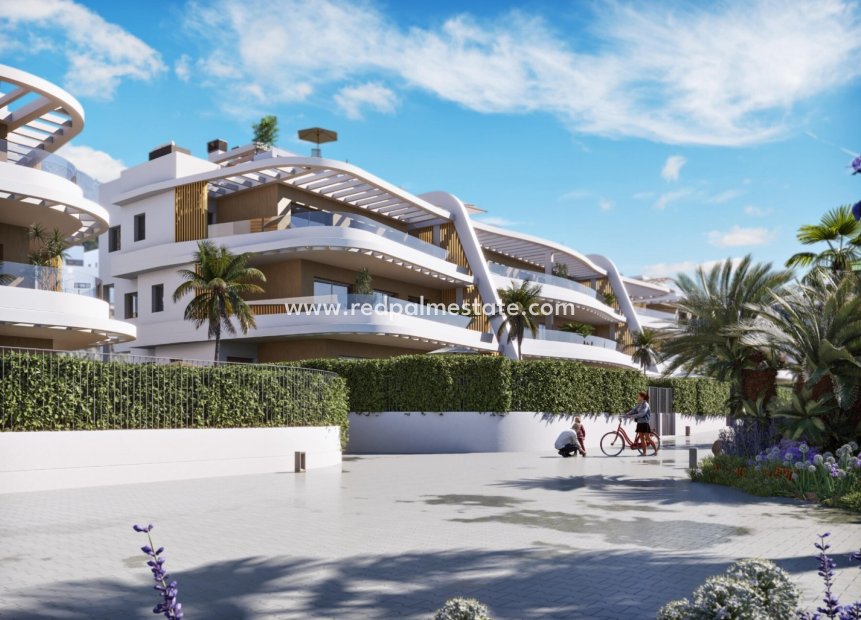 Obra nueva - Apartmentos -
Finestrat