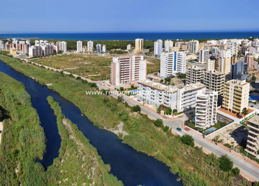 Obra nueva - Apartmentos -
Guardamar del Segura - Avenida del Puerto