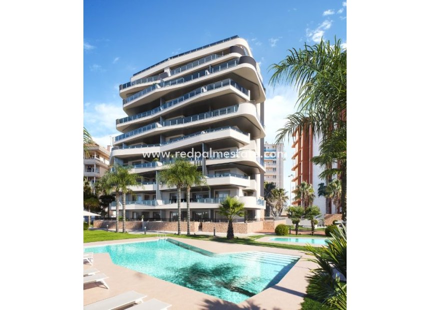 Obra nueva - Apartmentos -
Guardamar del Segura - Guardamar