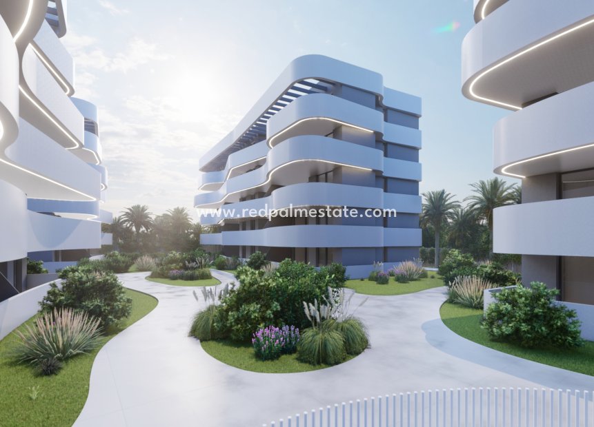 Obra nueva - Apartmentos -
Guardamar del Segura - Guardamar