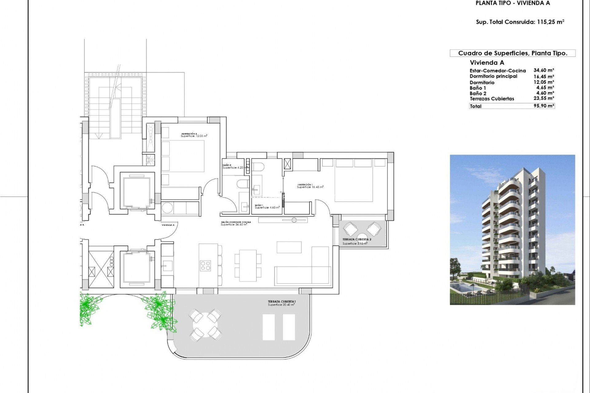 Obra nueva - Apartmentos -
Guardamar del Segura - Guardamar