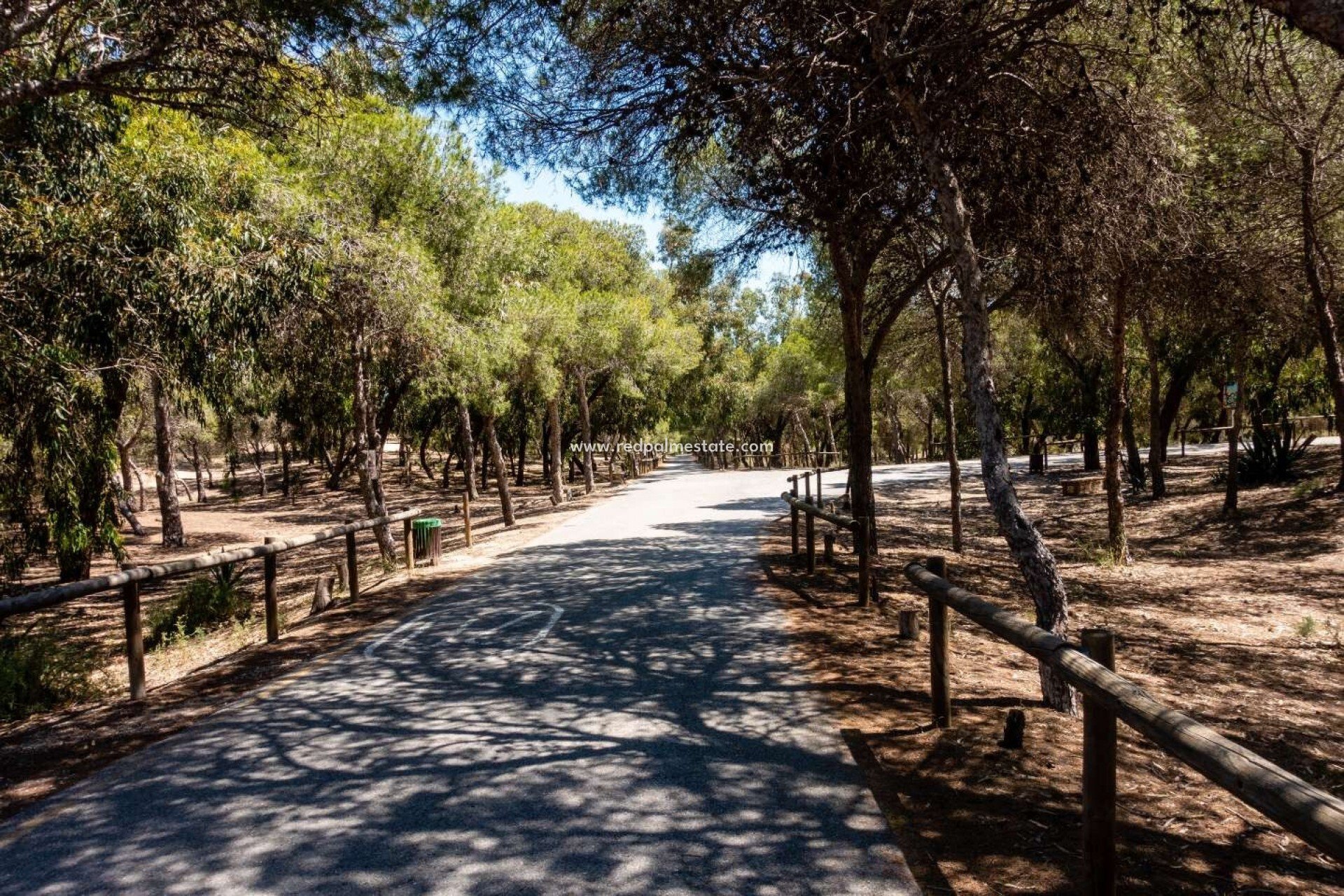 Obra nueva - Apartmentos -
Guardamar del Segura - Guardamar