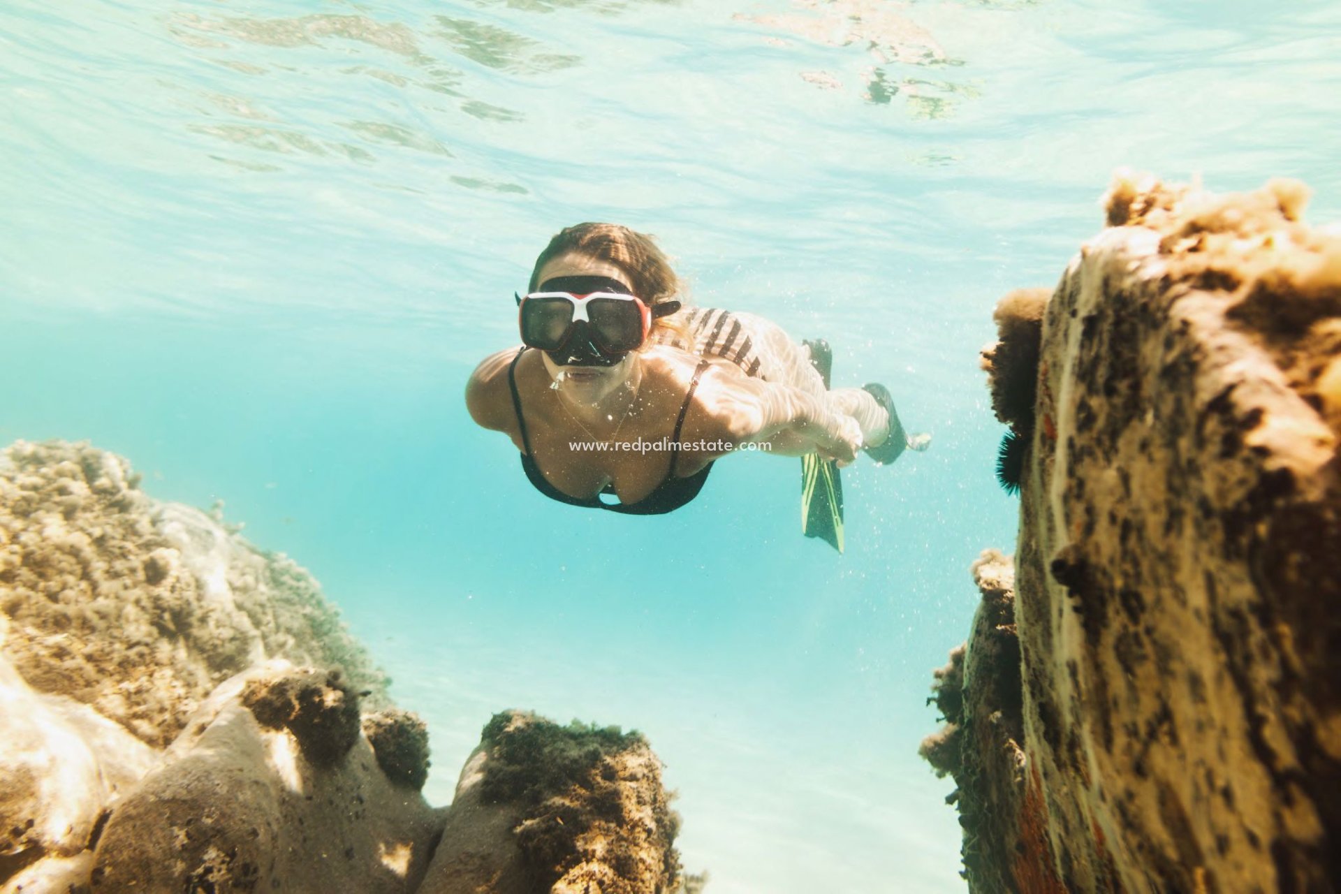 Obra nueva - Apartmentos -
La Manga