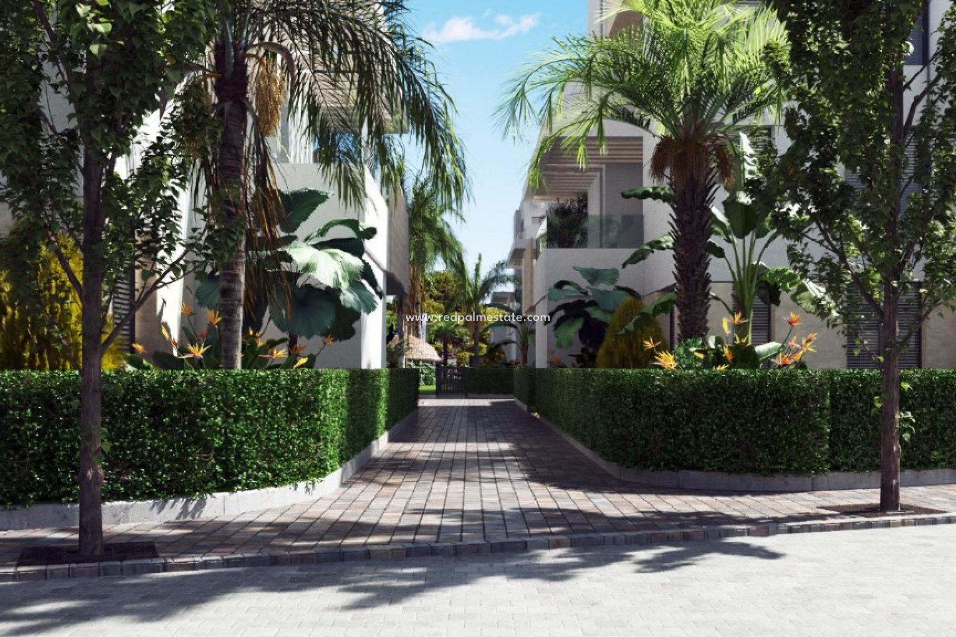 Obra nueva - Apartmentos -
Los Alcazares - LOS ALCÁZARES