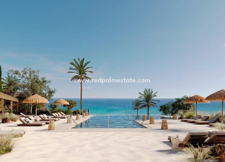 Obra nueva - Apartmentos -
Macenas