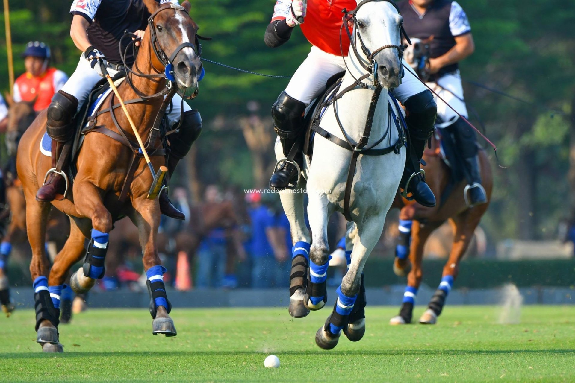 Obra nueva - Apartmentos -
Manilva - Bahia De Las Rocas