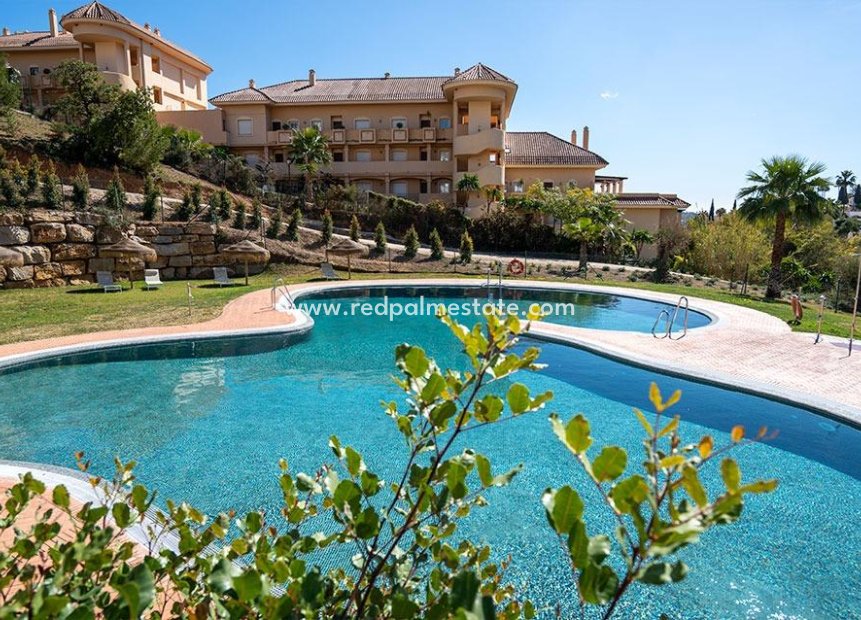 Obra nueva - Apartmentos -
Marbella - Nueva Andalucia