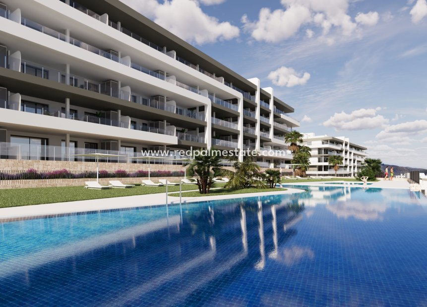 Obra nueva - Apartmentos -
Mutxamel