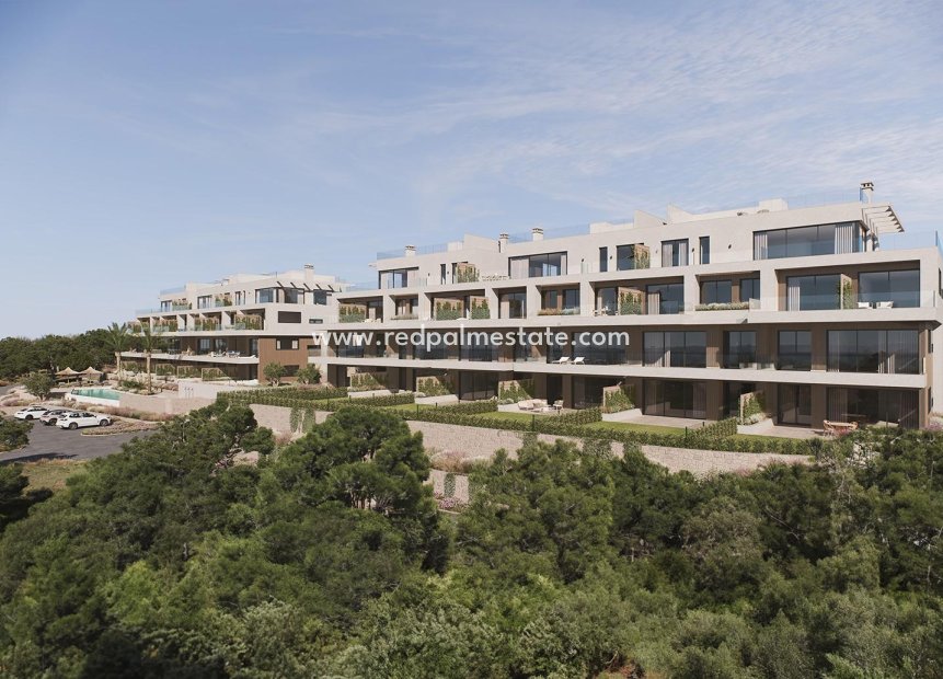 Obra nueva - Apartmentos -
Orihuela Costa - Campoamor