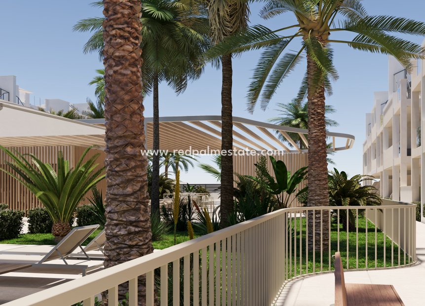 Obra nueva - Apartmentos -
SAN CAYETANO