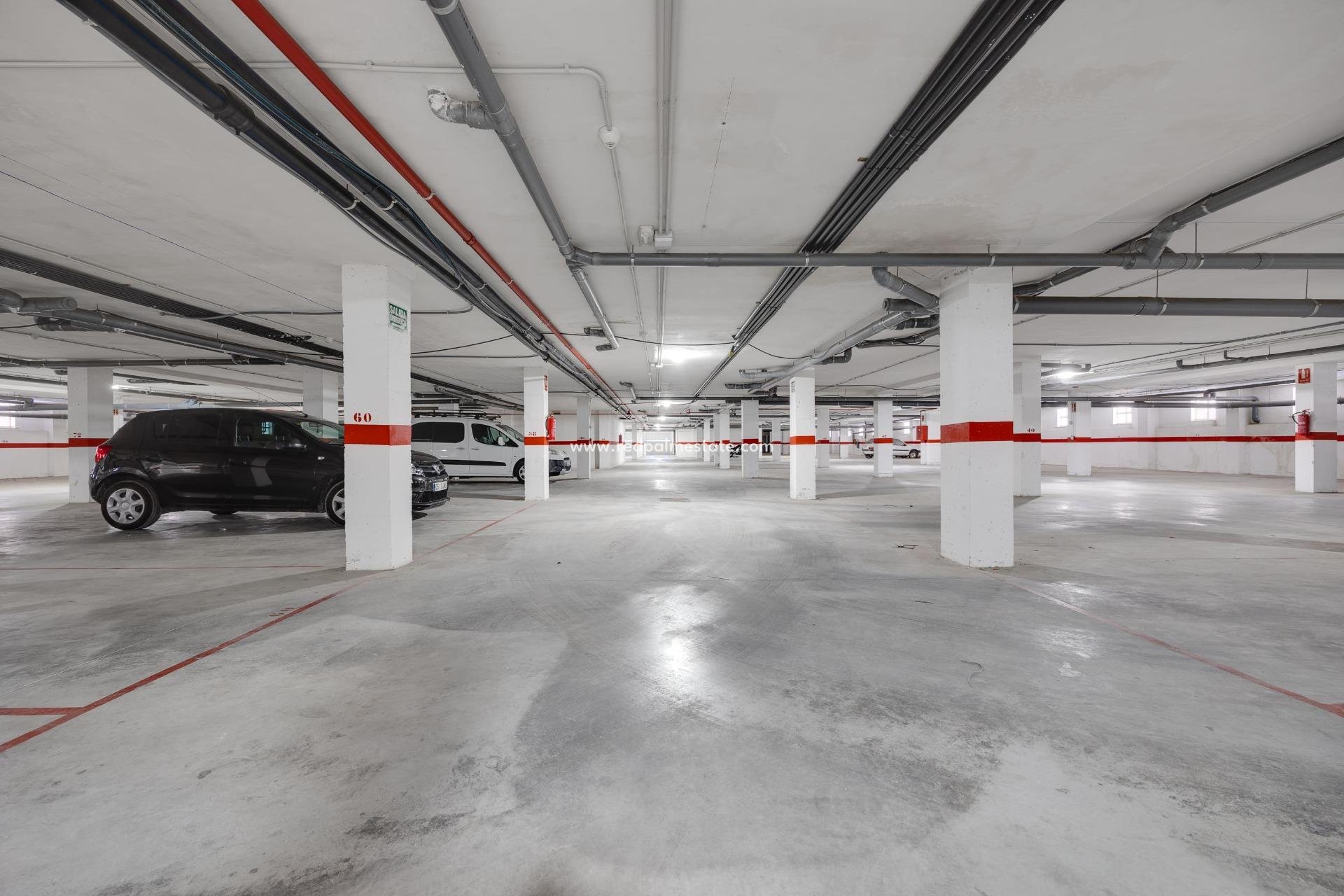 Obra nueva - Apartmentos -
San Fulgencio - Pueblo