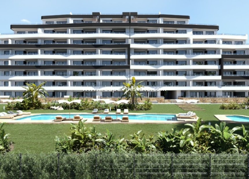 Obra nueva - Apartmentos -
San Miguel de Salinas - San Miguel Salinas