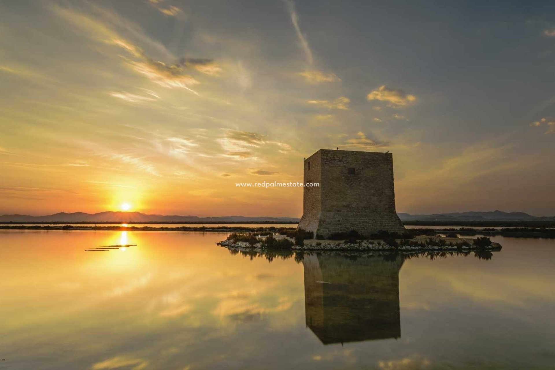 Obra nueva - Apartmentos -
Santa Pola - Estacion de autobuses