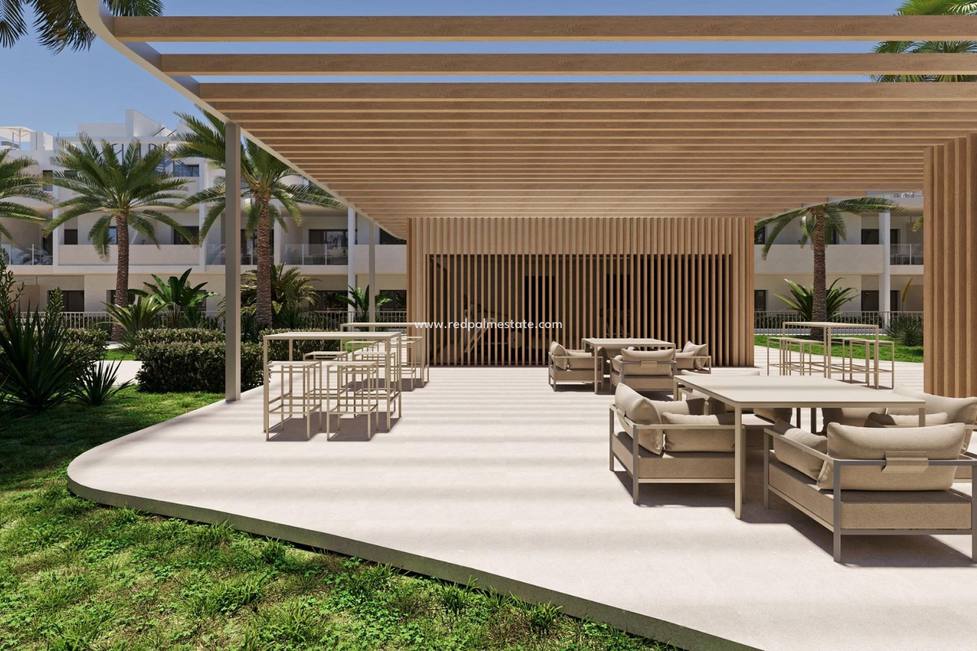 Obra nueva - Apartmentos -
Torre Pacheco - San Cayetano