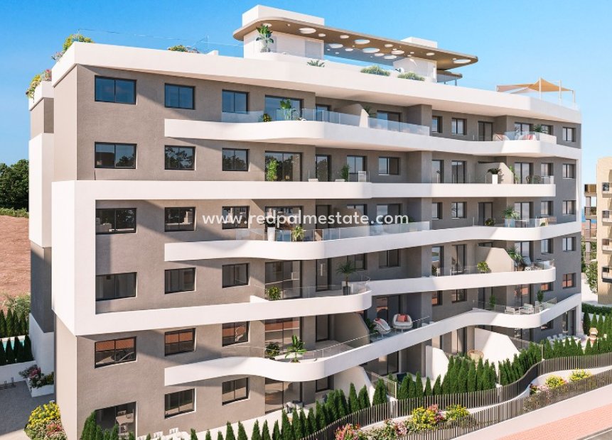 Obra nueva - Apartmentos -
Torrevieja - Punta prima