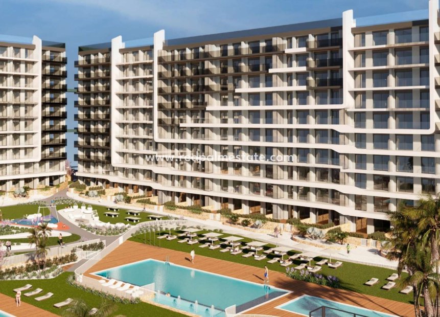 Obra nueva - Apartmentos -
Torrevieja - Punta prima