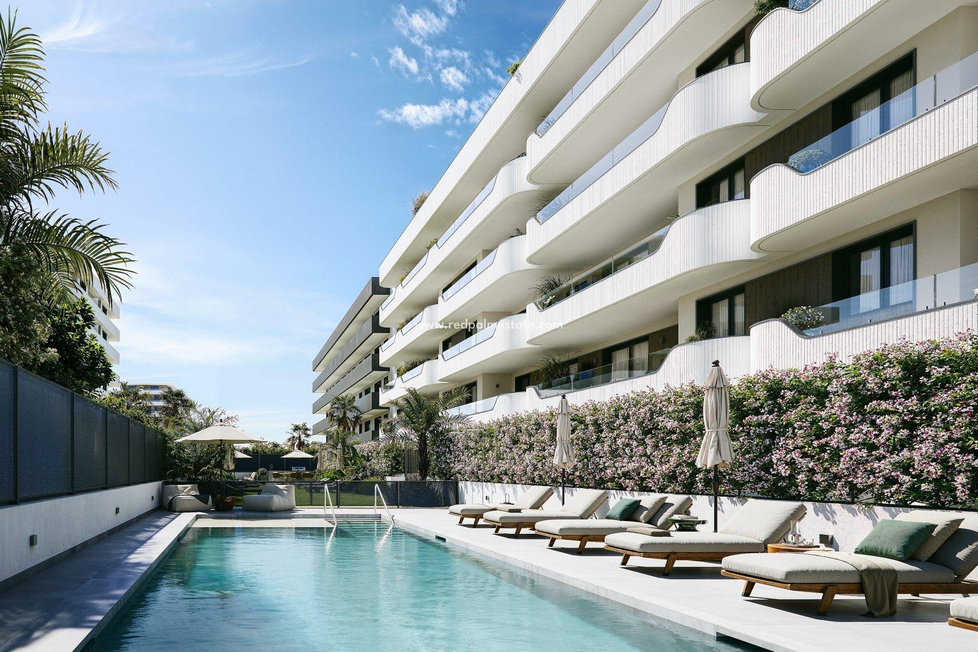 Obra nueva - Apartmentos -
Vélez Málaga - Torre del Mar