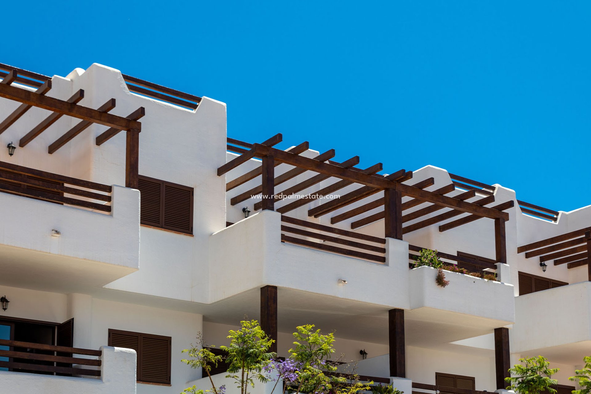 Obra nueva - Bungalow -
Pulpi