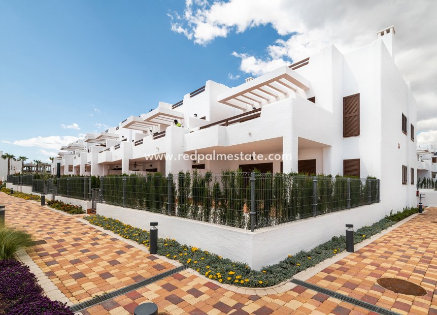 Obra nueva - Bungalow -
Pulpi