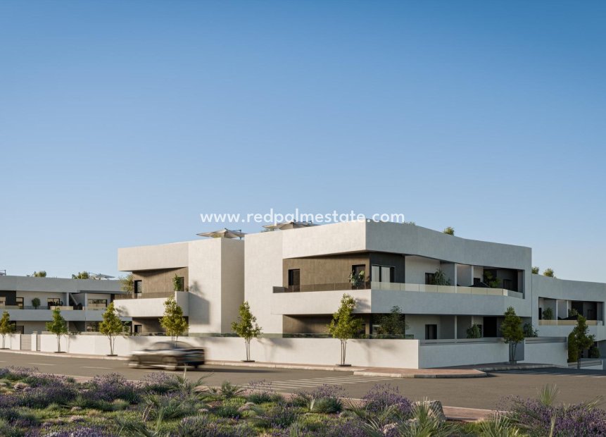 Obra nueva - Bungalow -
San Miguel de Salinas - Pueblo