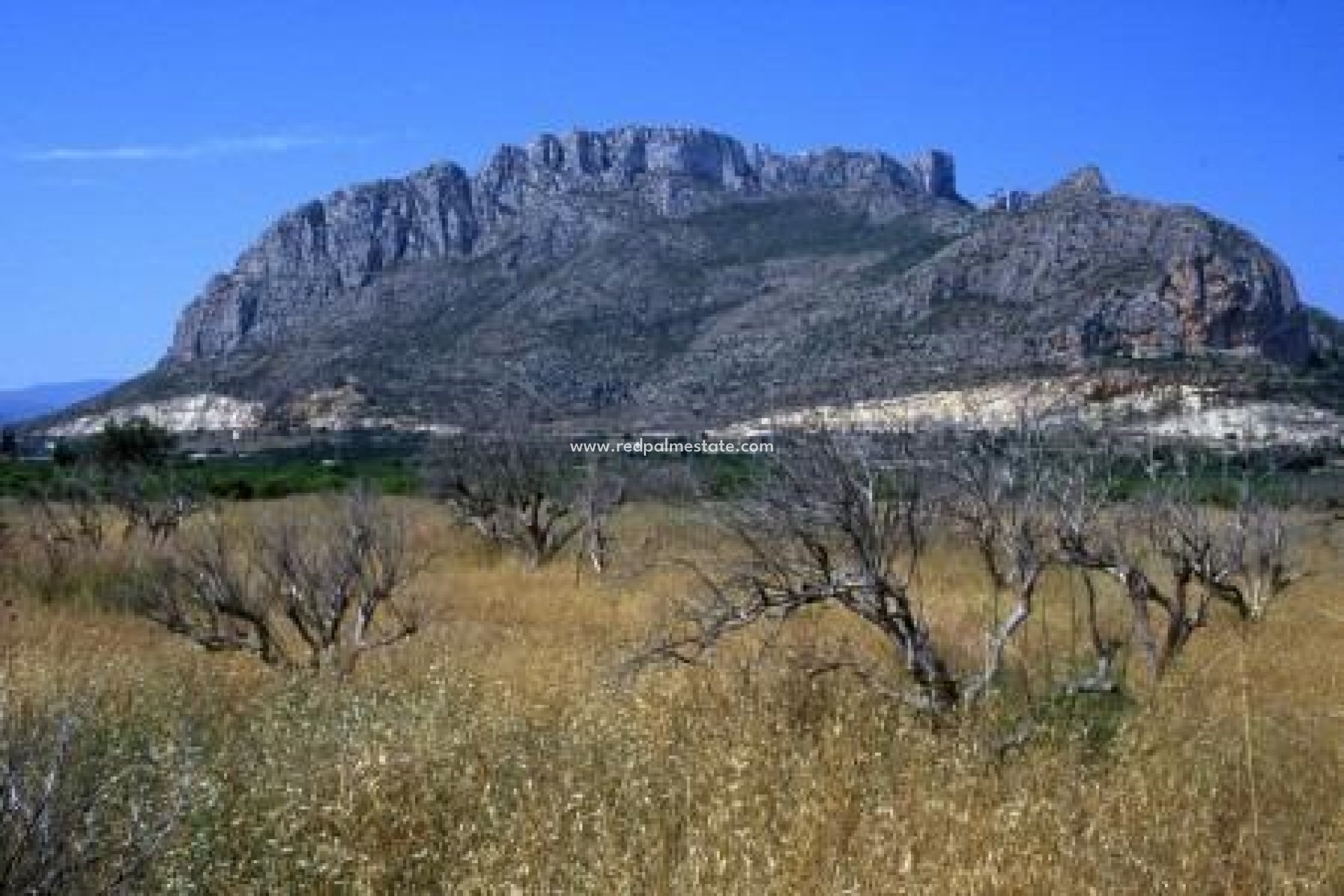 Obra nueva - Departamento -
Denia - El Verger