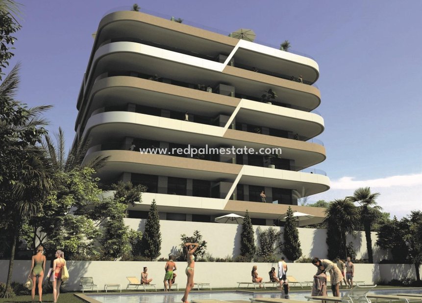 Obra nueva - Departamento -
Gran Alacant - Arenales del Sol