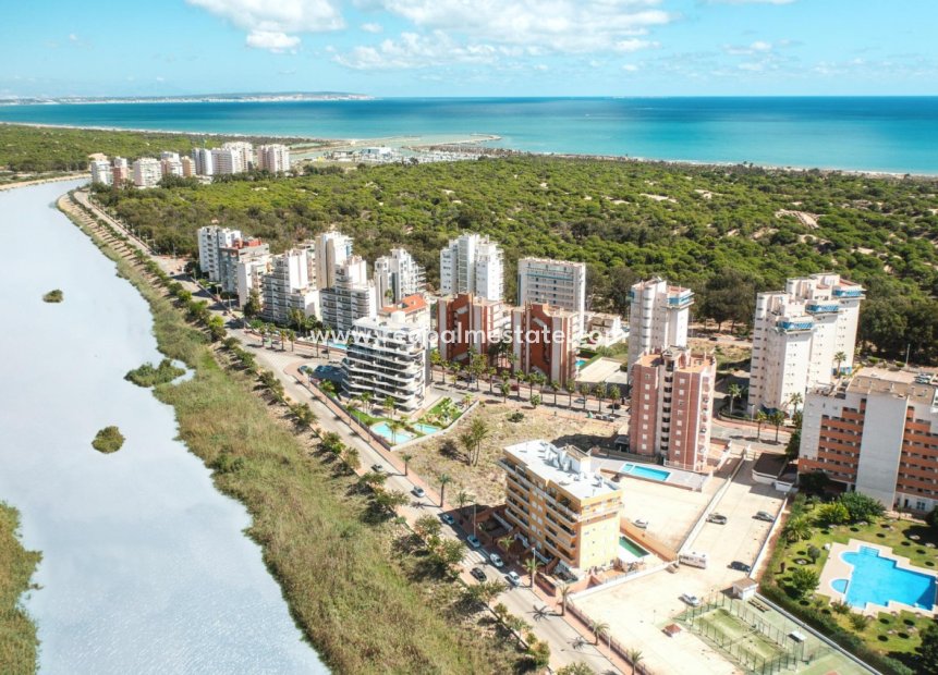 Obra nueva - Departamento -
Guardamar del Segura - Puerto