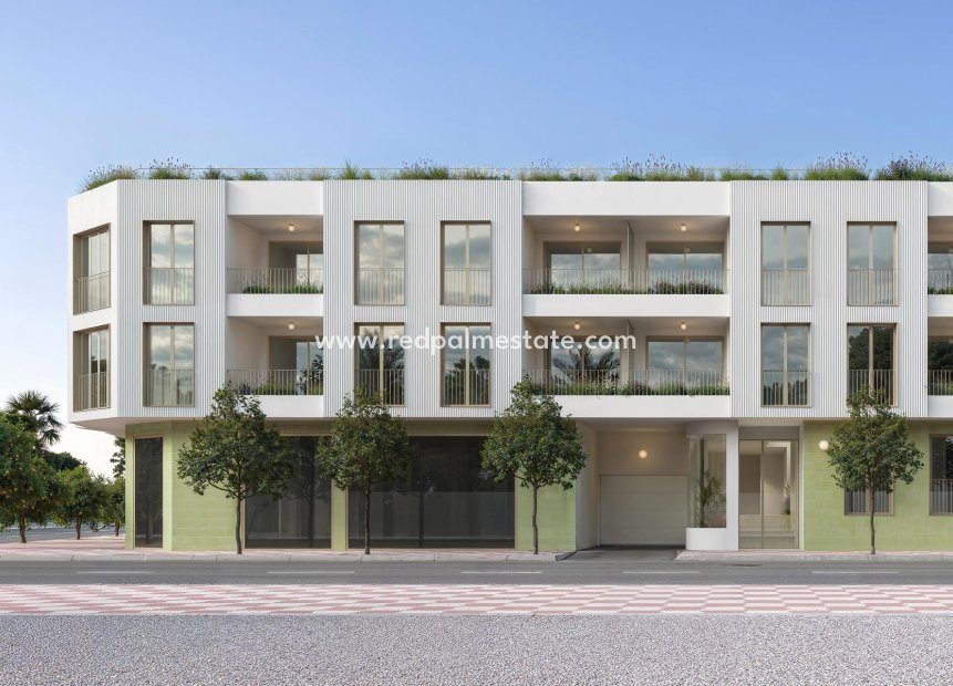 Obra nueva - Departamento -
Jacarilla - pueblo