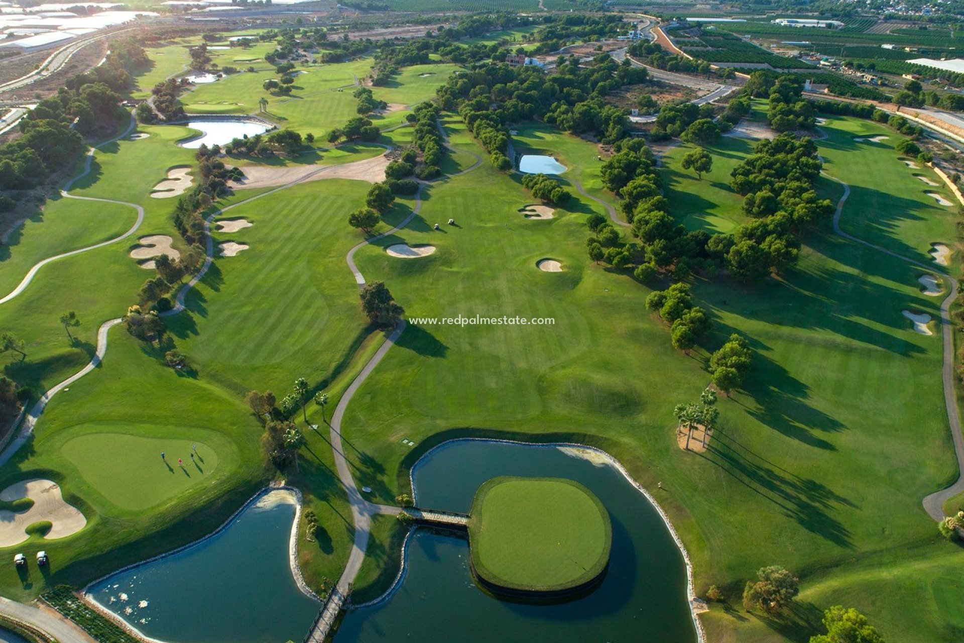 Obra nueva - Departamento -
Pilar de la Horadada - Lo romero golf