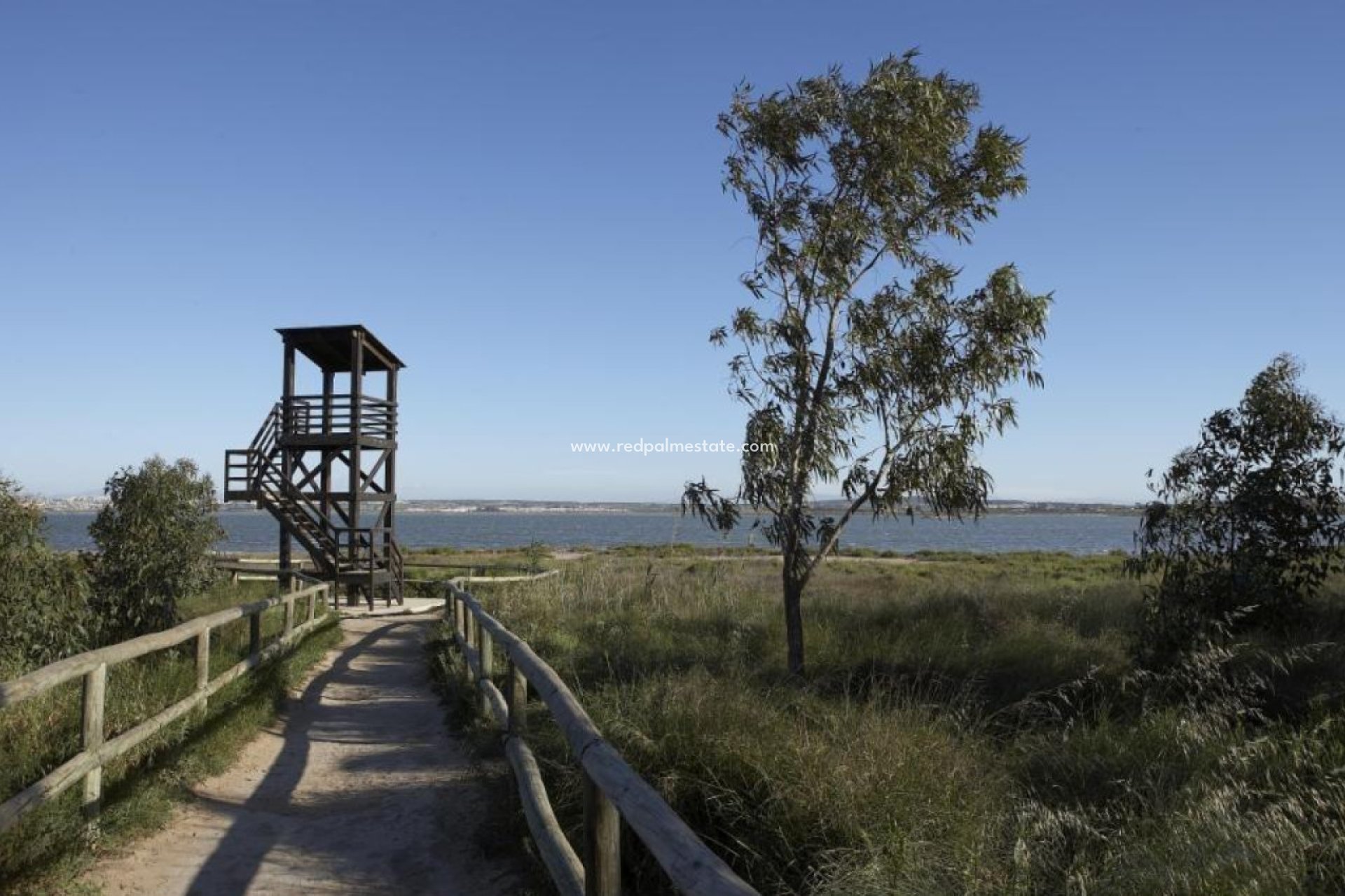 Obra nueva - Departamento -
Torrevieja - Aguas Nueva