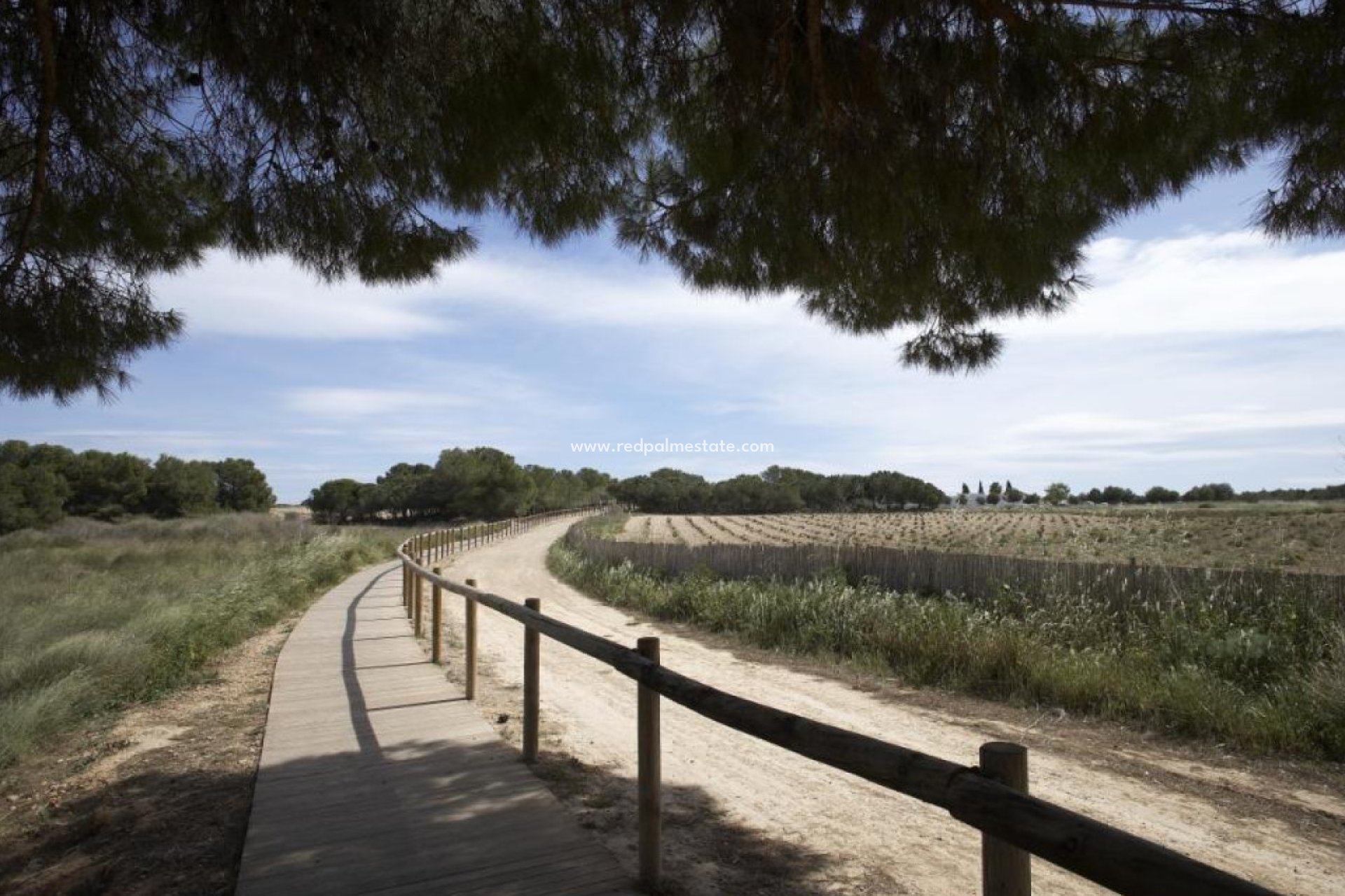 Obra nueva - Departamento -
Torrevieja - Aguas Nueva