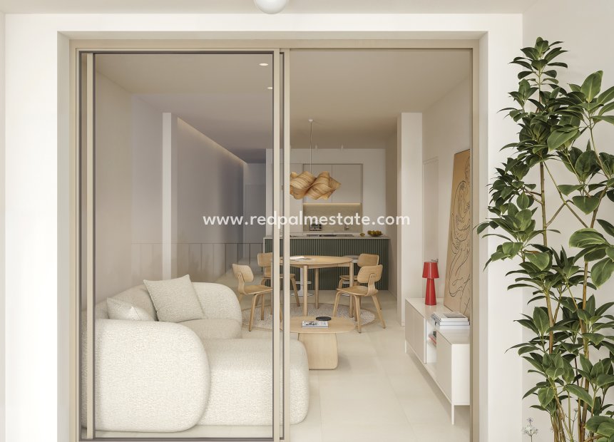 Obra nueva - ground-floor -
Jacarilla