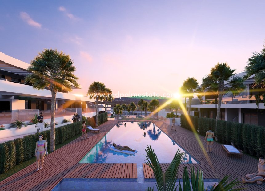 Obra nueva - low-bungalow -
La Finca Golf Resort - La Finca Golf