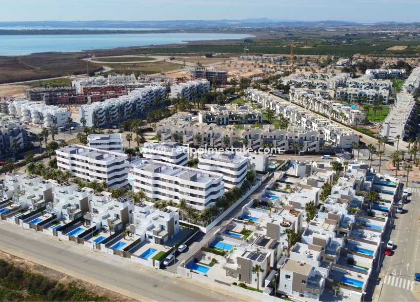 Obra nueva - terraced -
Guardamar del Segura - Guardamar