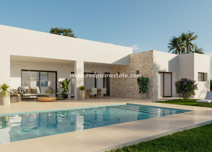 Obra nueva - Villa -
Aspe - Poligono 19