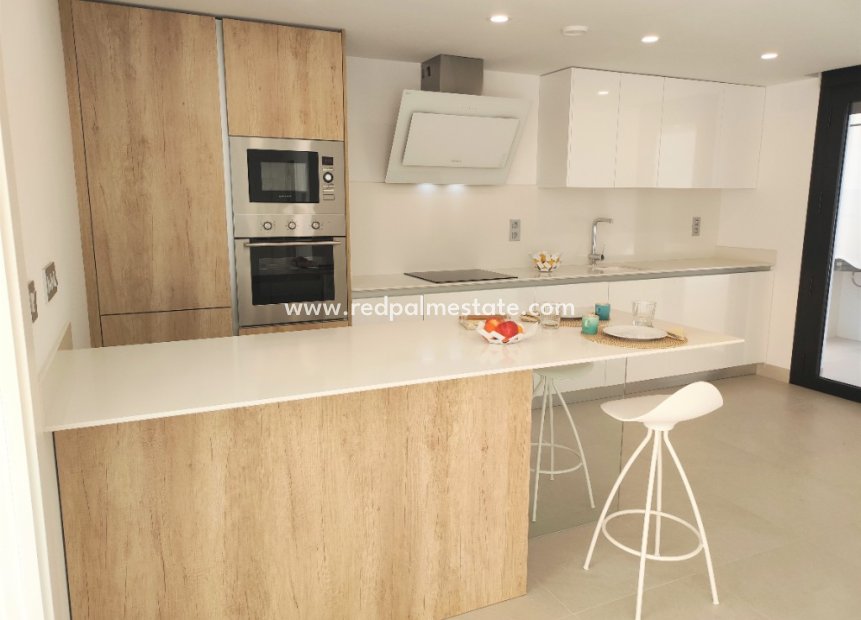 Obra nueva - Villa -
Benijofar