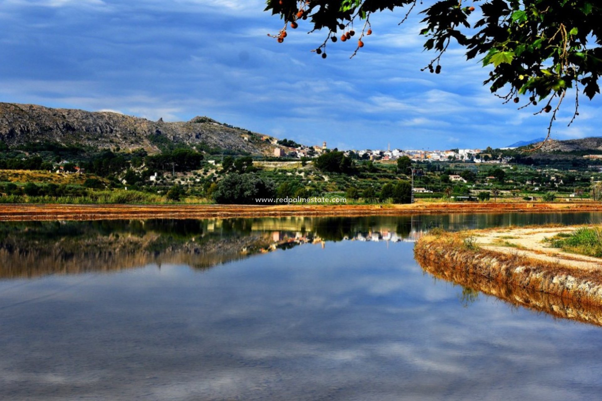 Obra nueva - Villa -
Calasparra - Coto Riñales