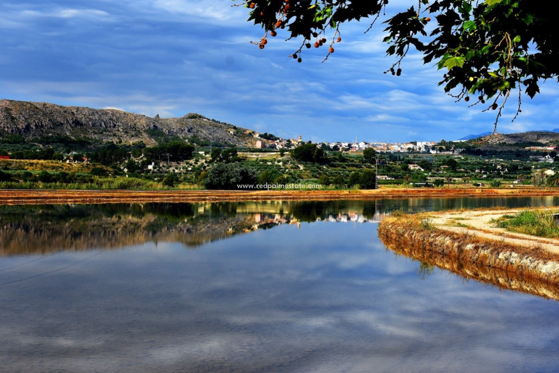 Obra nueva - Villa -
Calasparra - Coto Riñales