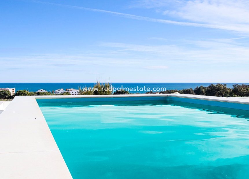 Obra nueva - Villa -
Guardamar del Segura - Guardamar