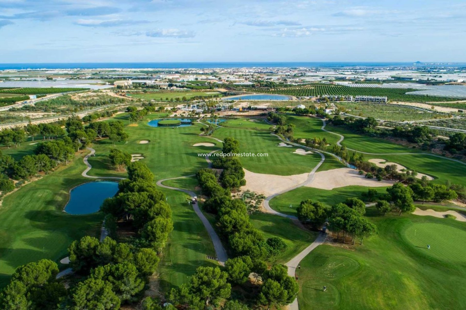 Obra nueva - Villa independiente -
Pilar de la Horadada - Lo romero golf