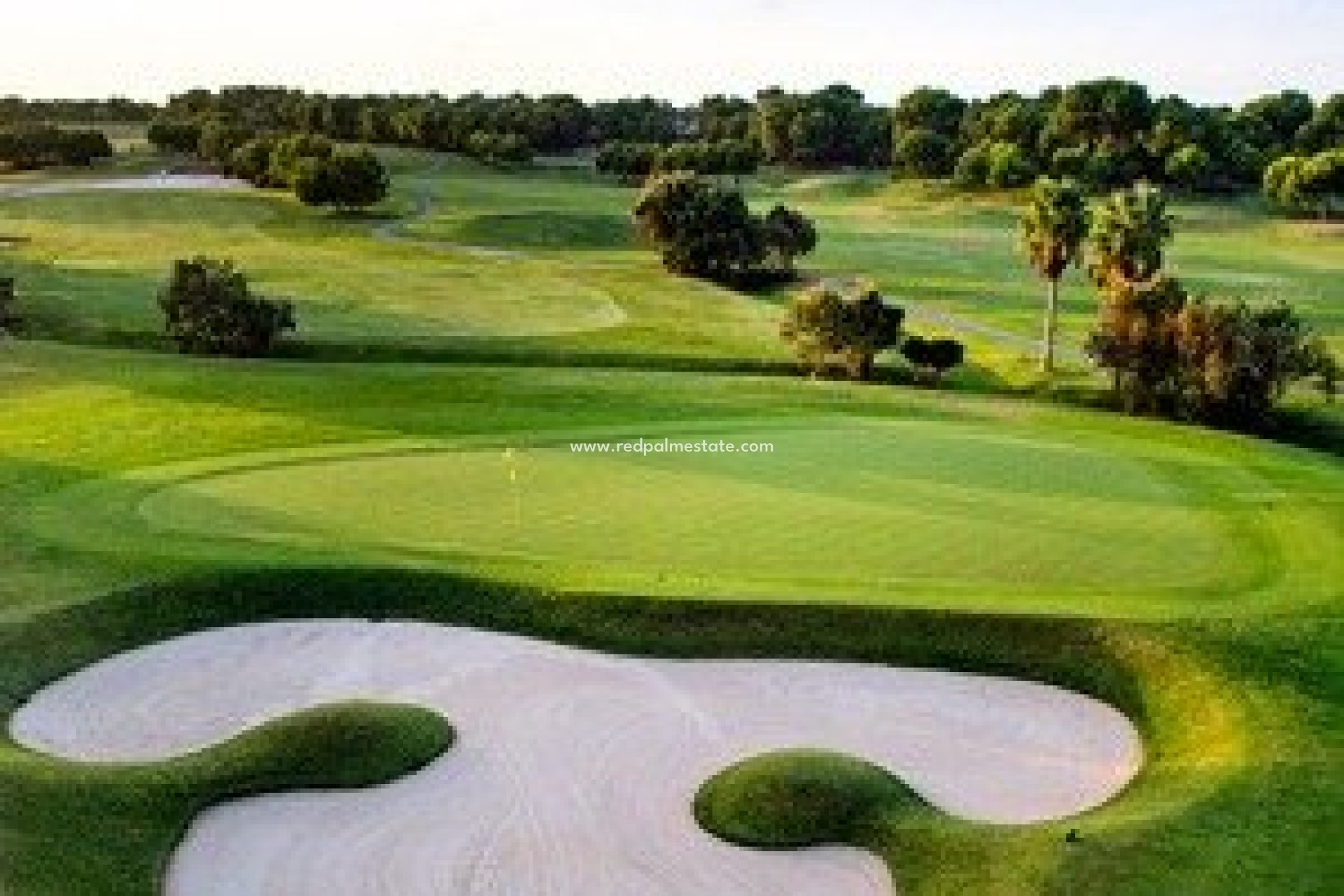 Obra nueva - Villa independiente -
Pilar de la Horadada - Lo romero golf